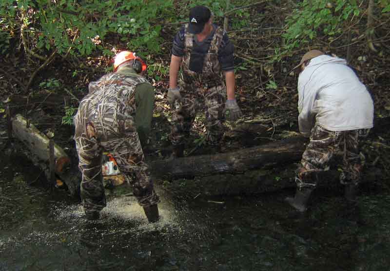 Cutting Log for Deflector